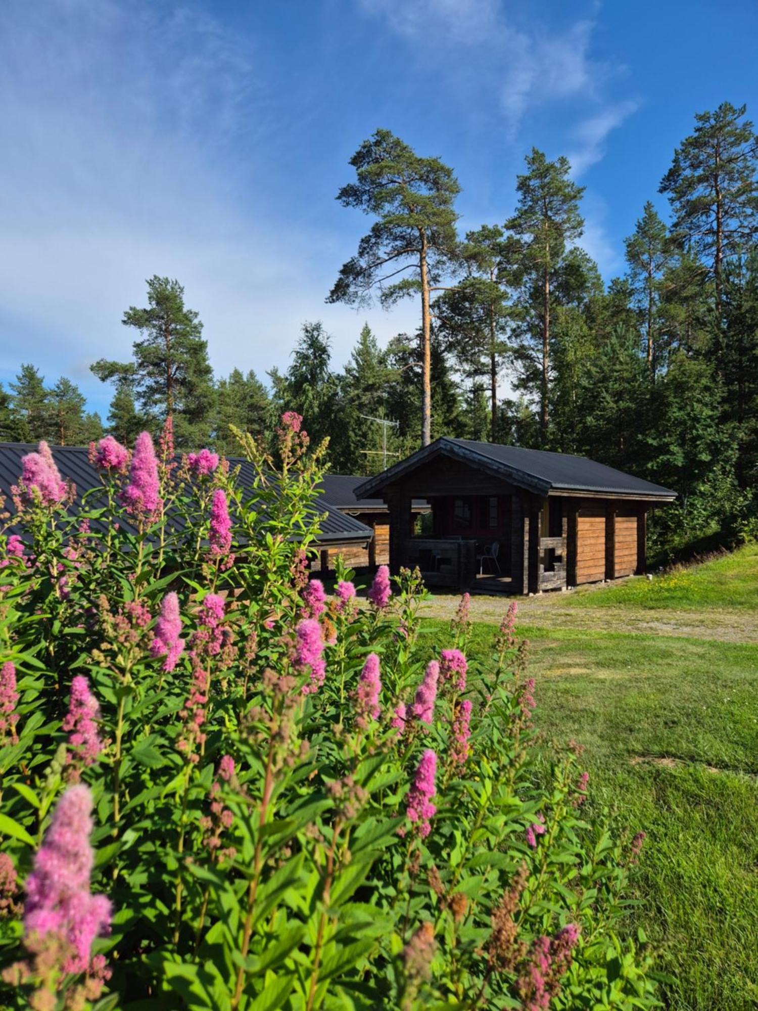 Lufta Camping & Restaurang Онесет Экстерьер фото